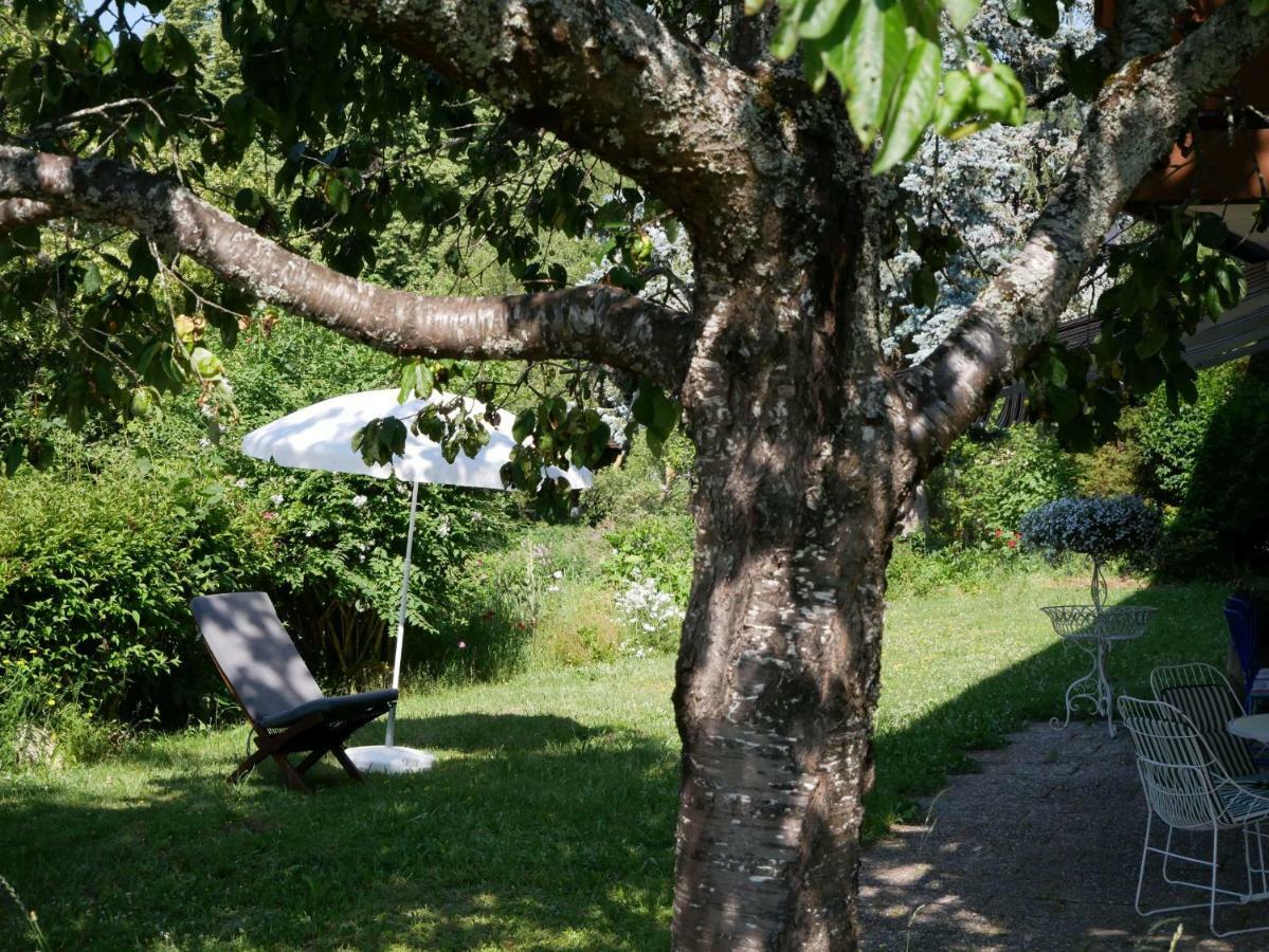 Haus Vita Ferien- Und Seminarhaus Urberg Zewnętrze zdjęcie