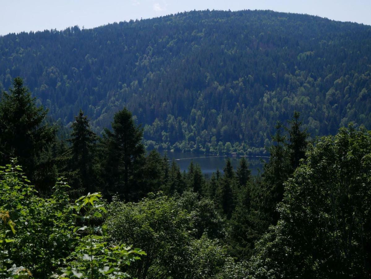 Haus Vita Ferien- Und Seminarhaus Urberg Zewnętrze zdjęcie