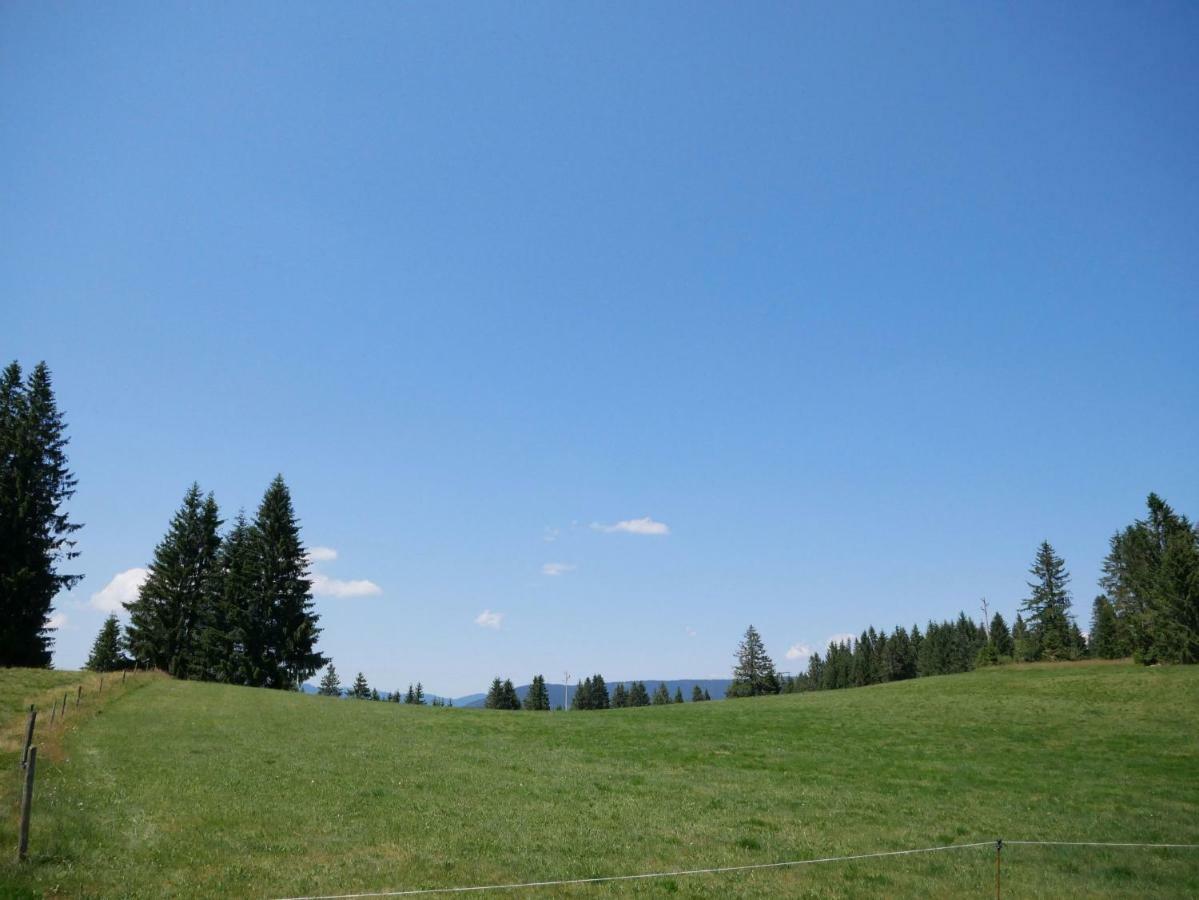 Haus Vita Ferien- Und Seminarhaus Urberg Zewnętrze zdjęcie